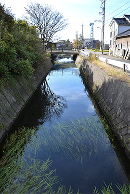 湧水が流れ込む安産川。