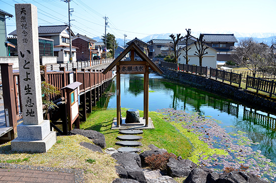 金森長近が掘り下げて町用水の水源として整備したのが始まりと伝わる「本願清水」 