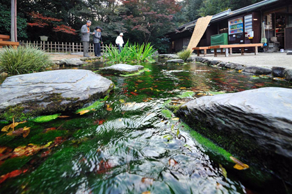 6の池の水源地となっている、吹上げ