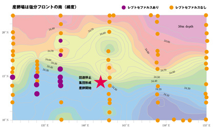 塩分フロントとレプトセファルスの採集場所