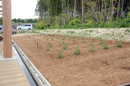 建物の横にある「えるふ農園」