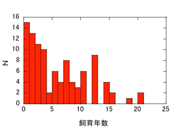 持ち込まれたアカミミガメ（購入個体）の飼育年数の分布