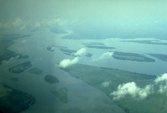 （写真4）コンゴ川を上空から撮影した写真。霊長類が泳いで渡れるようなスケールではない