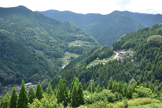 大神集落からの風景。ホタルの生息地である川田川は、はるか下にある