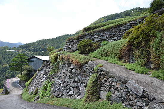 このとおり急勾配なので、歩くだけでも息があがる。こういう土地で暮らすことがいかに大変か、訪れるとよくわかる