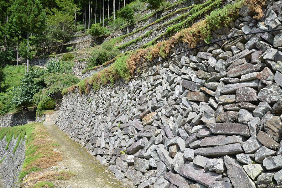 段畑の見事な景観が残る「高開（たかがい）の石積み」（徳島県吉野川市）。「にほんの里100選」に選出されている