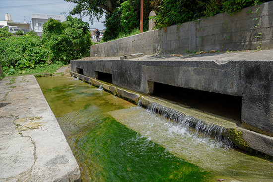 宜野湾市大山にある「ヒャーカーガー」から水路を通ってその水が田芋畑を潤す。