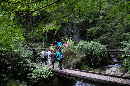 払滝の滝に向かい、滝を鑑賞している参加者