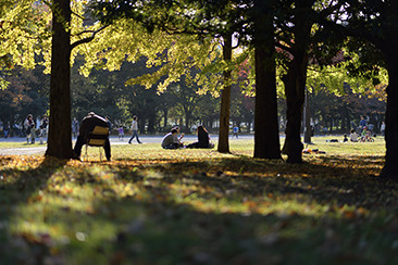 清澄公園