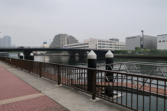 芝浦工大豊洲キャンパス裏船着場