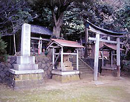 岬の上には徐福を奉った新井崎神社が海を向いて建てられている。