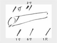 ガリ引きという、丸太に文字を書く道具で寸法を表示する。