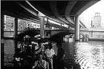 高速道路の下に封じ込められた東京・日本橋。 それにもめげず、船で水上からのウォッチングを行う。