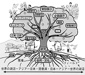 博物館はたとえていると、大きな樹木。良い実を実らせるためには、豊かな研究や資料が必要。ー琵琶湖博物館の活動イメージを表した図　『滋賀県立琵琶湖博物館案内』より