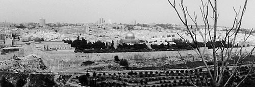 砂漠の中の街エルサレム