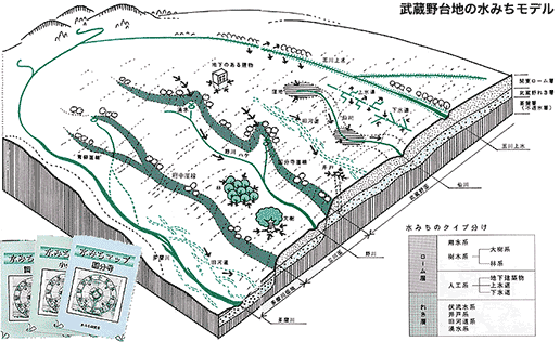 武蔵野台地の水みちモデル