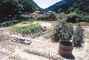 大川の河原に広がる河原畑。自分で食べたいものをつくる。（写真提供：菅 豊さん）