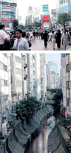 東京、渋谷川も里川だった