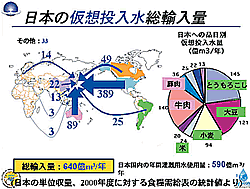 日本の仮想投入水総輸入量