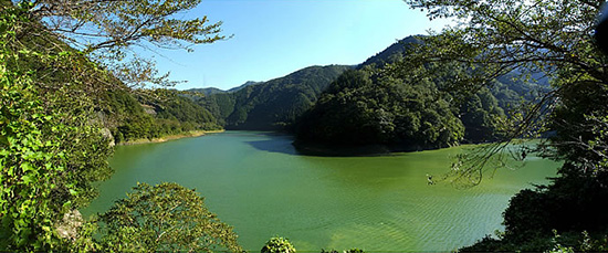 小河内ダムでせき止められた奥多摩湖を山梨と東京の県境から望む。藻類が多く、除藻作業には太陽光発電を使い、藻を運ぶ船も太陽電池で動く。
