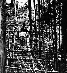 昭和39年の東京青梅には、木材搬出のためのソリの道がまだ活きていた。