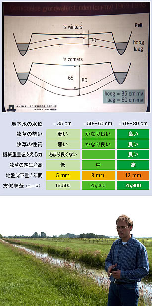 上図：水路にはさまれた牧草地の断面図。 降雨期の冬には排水路となり牧草地の地下水は水路から遠い中央の水位が高い。（上） 逆に乾燥期には水路が用水路となり、牧草地の中央の地下水位が低くなる。（下） 中表：三つの地下水位により異なる、地盤沈下量等の変動を示したもの。 下：実験牧場に立つワーゲニンゲン大学のホビングさん。