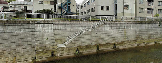 何とか水辺に近づくようにと、階段がつくられているが、現状の水位ではバケツで水を汲むのは不可能だ。