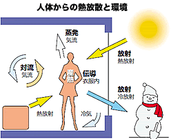 人体からの熱放散と環境