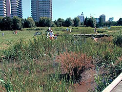 都立尾久の原公園