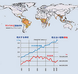 「サトウキビ適地分布」と「増大する単収・増えない穀物耕地」