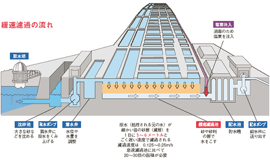 緩速濾過の流れ