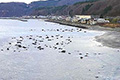 青森県の木野部（きのっぷ）海岸。