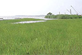 左：改修後の霞ヶ浦。　右：ヒントを与えてくれた中国の巣湖（チャオフー）。