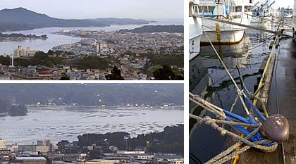 安波山から見下ろした気仙沼湾。気仙沼湾の一番奥にある港には、北は北海道、南は九州からの漁船があふれていた。