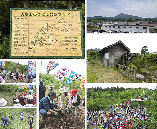 矢越山の〈ひこばえの森〉で開催される植樹祭は年々参加者が増えている。