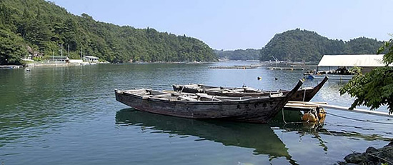 畠山さんのもとを訪れる子供たちは、二丁櫓の大型和舟「あずさ丸」と「あずさ丸II 」で養殖筏まで出かける。