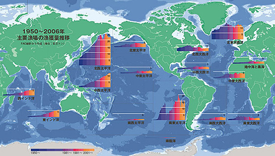 1950〜2006年 主要魚場の漁獲量推移