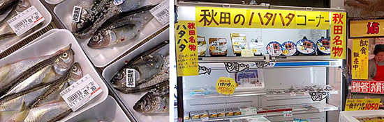「丸ごと市場」には、ハタハタをはじめ、地場の水産物、農産物がたくさん並んでいた。生のハタハタは鳥取県産。