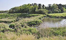 城原川の水を堰上げ、横落水路で右岸山麓に配水する三千石堰。導水部には、石井樋と同様の仕組みが用いられている。