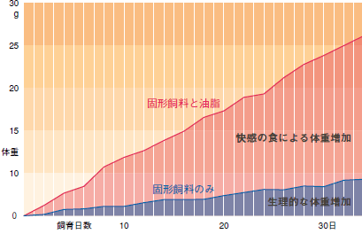 給餌の違いによるマウスの体重増加の違い