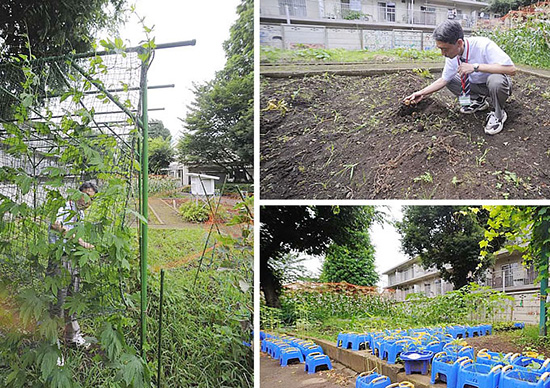 学級園と食育を結ぶ畑には、季節ごとに多種多様な取り組みが繰り広げられている。