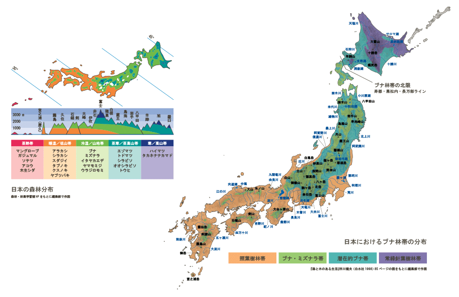 ブナ林帯文化論の復権 34号 森林の流域 機関誌 水の文化 ミツカン 水の文化センター