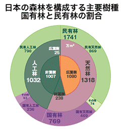 日本の森林を構成する主要樹種 国有林と民有林の割合