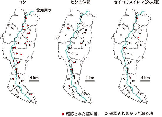 知多半島の植物種の分布 