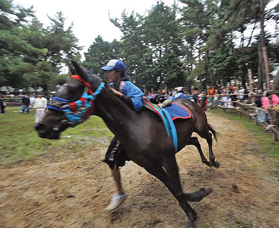 馬場を疾走する馬に、駆け寄りながら取りつく〈おまんと〉。