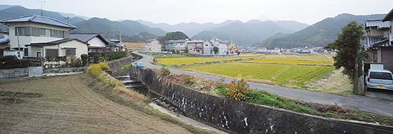 大根川中流域の様子