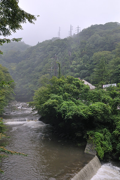 大雨で増水した早川。右奥に塔ノ沢発電所の看板が見える。
