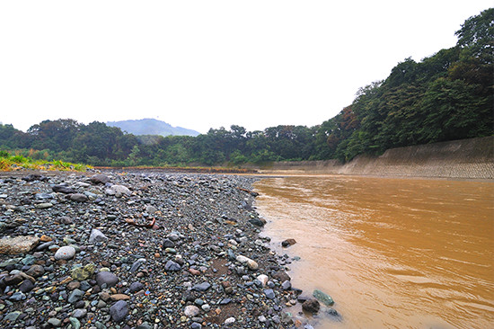 山から平地に流れ出た酒匂川は、春日の森土手でコントロールされて河岸段丘である釜淵にぶつかって、ほぼ直角に流れを変える。