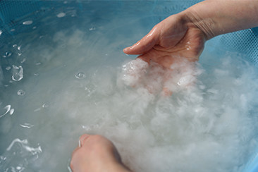 冷たい水に手を浸けてチリを取る作業