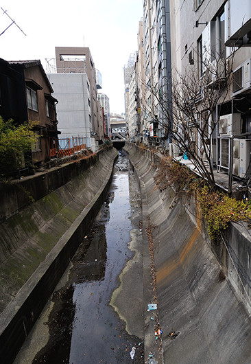 渋谷駅南東側を流れる、渋谷川。